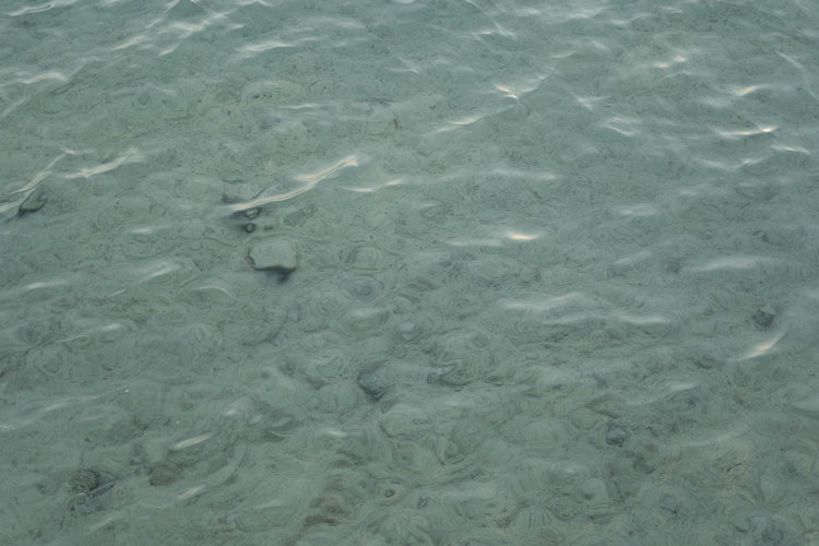 水质检测 水质检测