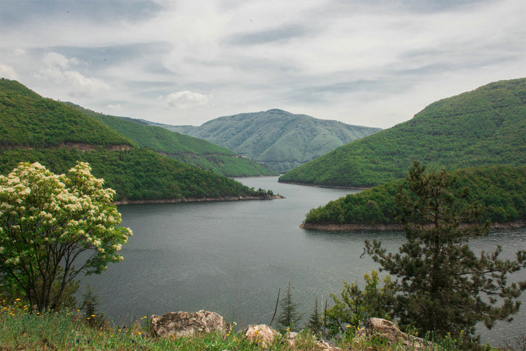 氨氮快速测定仪 氨氮快速测定仪